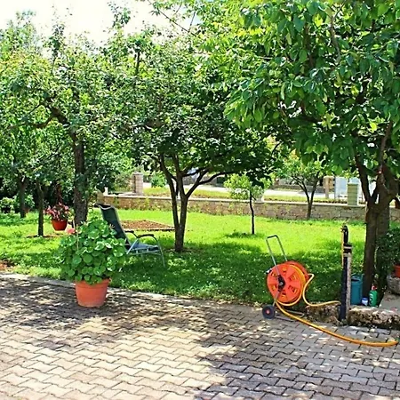 Palmira Daire