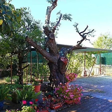 Palmira Apartment Poreč