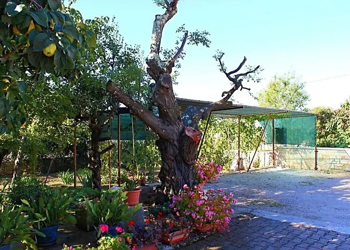 Palmira Apartment Porec