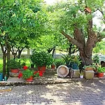 Palmira Porec