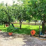 Palmira Apartman