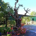 Palmira Apartman Porec